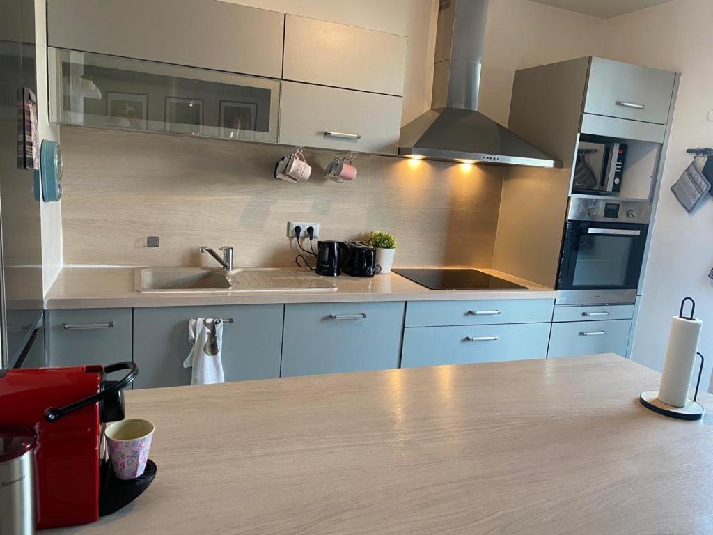 Appartement 80M2, Terrasse Sud, Metro 7 Direction Louvre A 8Minutes, Parking Sous-Sol, Proche Paris-Bercy イヴリー＝シュル＝セーヌ エクステリア 写真
